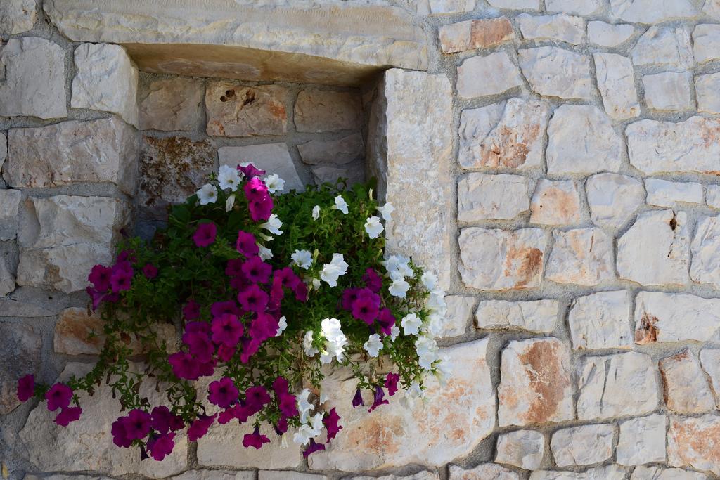 Bed & Breakfast La Collinetta Locorotondo Exterior photo